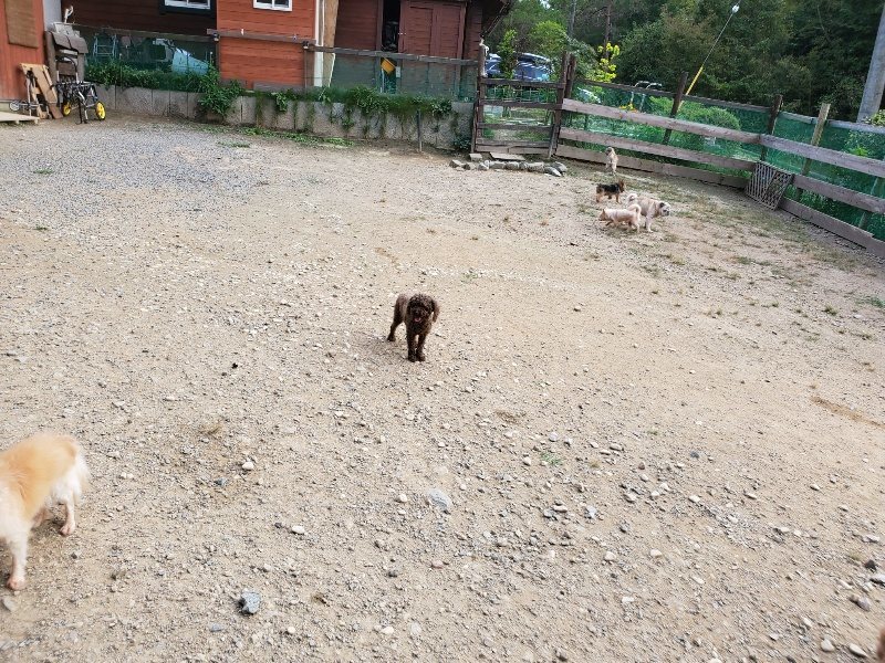 f:id:roukenhome-ann:20191001203739j:plain
