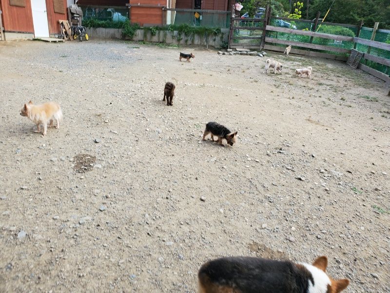 f:id:roukenhome-ann:20191001203750j:plain