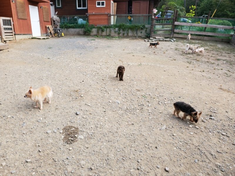 f:id:roukenhome-ann:20191001203757j:plain