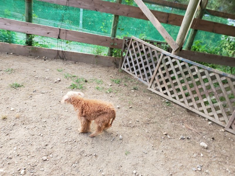 f:id:roukenhome-ann:20191001203859j:plain