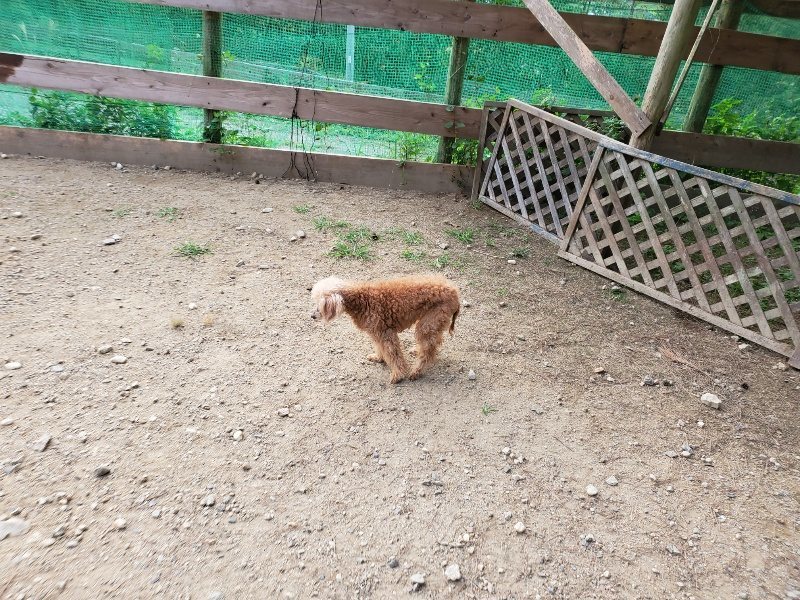 f:id:roukenhome-ann:20191001203907j:plain