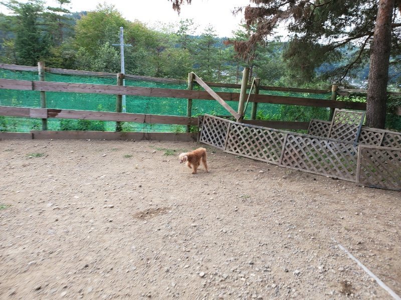 f:id:roukenhome-ann:20191001203914j:plain