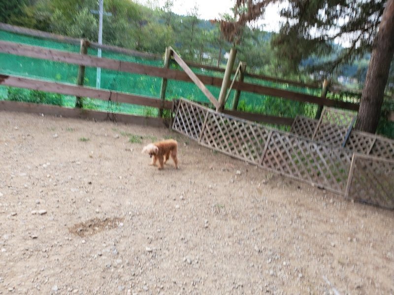 f:id:roukenhome-ann:20191001203921j:plain