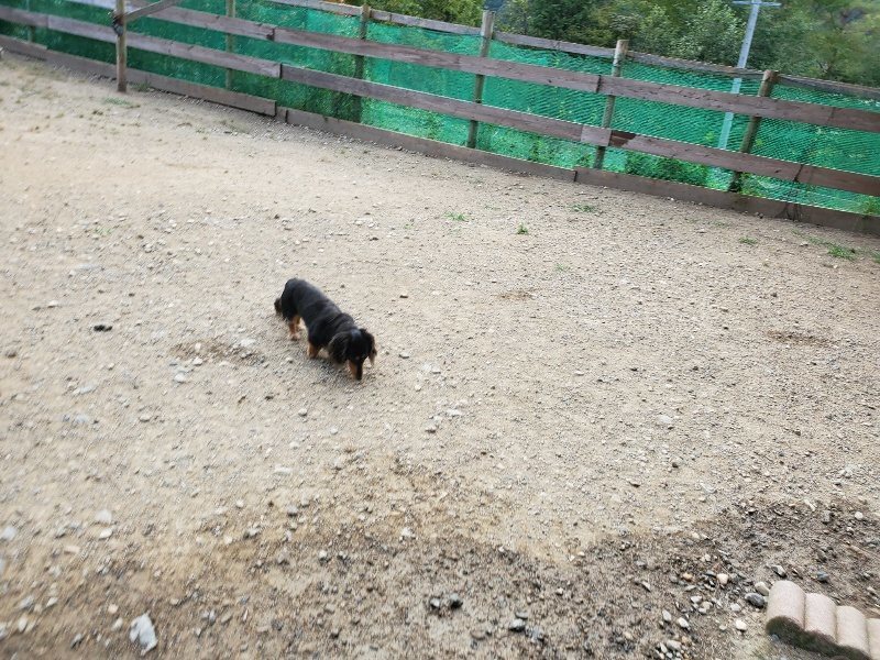 f:id:roukenhome-ann:20191001203928j:plain