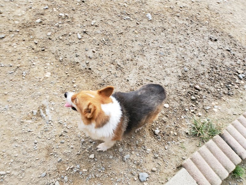 f:id:roukenhome-ann:20191001203938j:plain