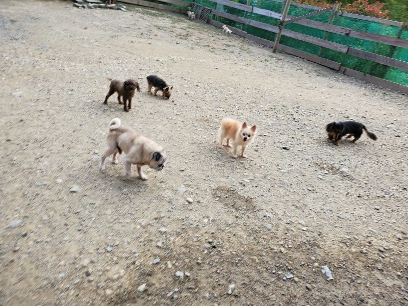 f:id:roukenhome-ann:20191001203955j:plain