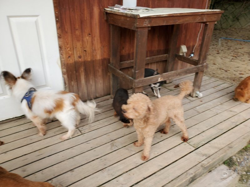 f:id:roukenhome-ann:20191001204118j:plain