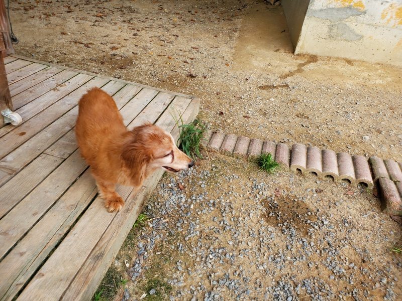 f:id:roukenhome-ann:20191001204148j:plain