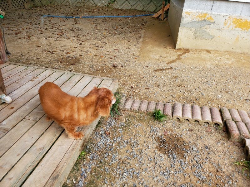 f:id:roukenhome-ann:20191001204155j:plain