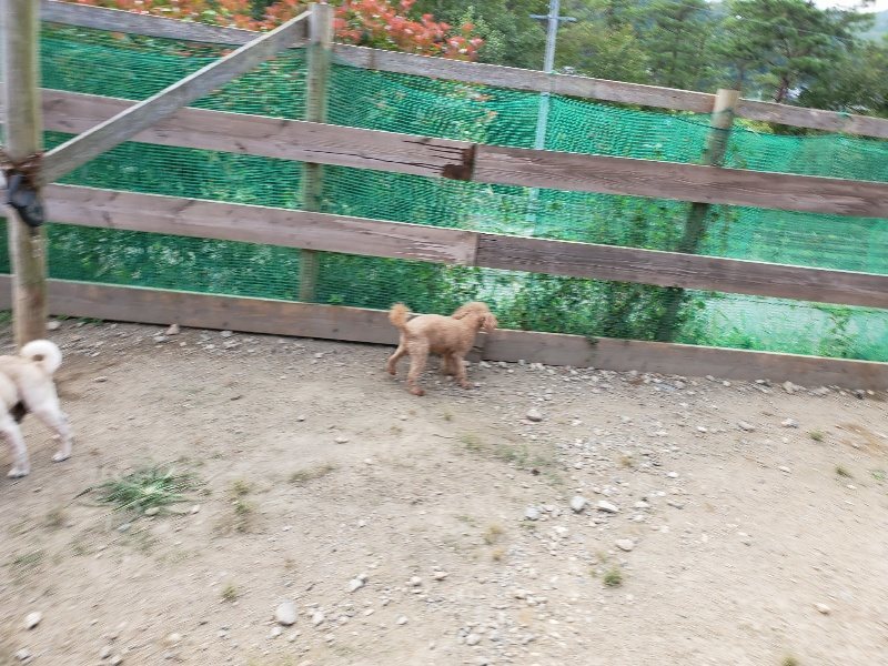 f:id:roukenhome-ann:20191001204259j:plain