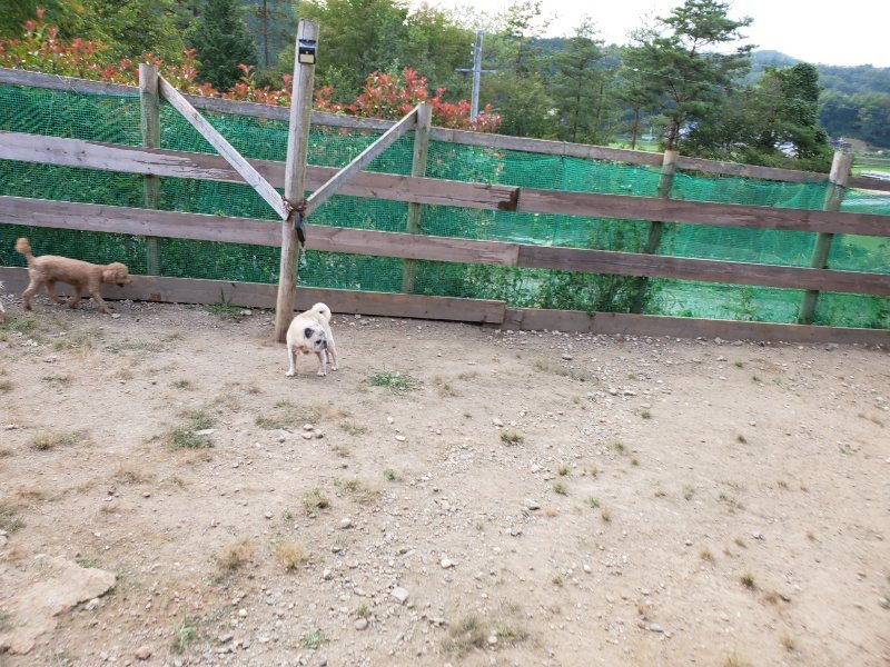 f:id:roukenhome-ann:20191001204319j:plain