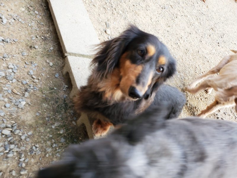 f:id:roukenhome-ann:20191001204556j:plain