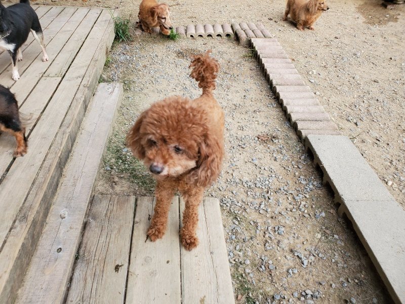 f:id:roukenhome-ann:20191001204603j:plain