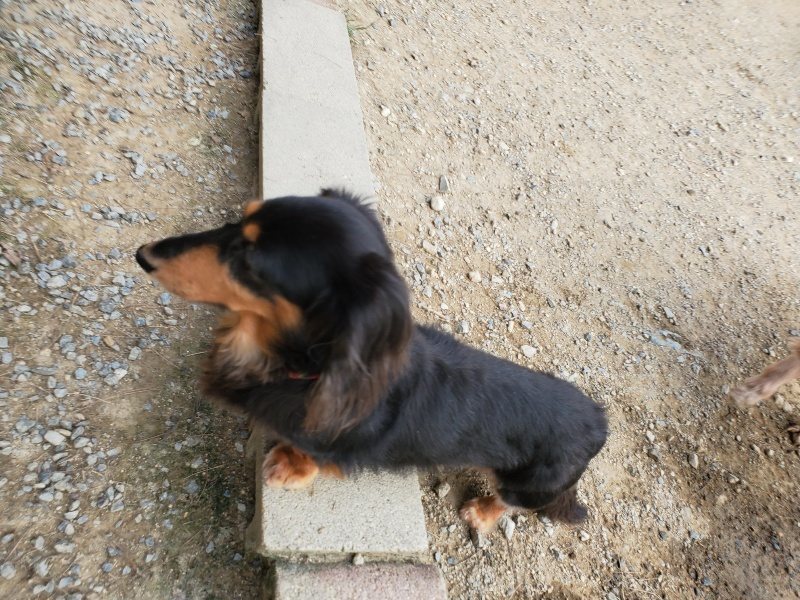 f:id:roukenhome-ann:20191001204621j:plain