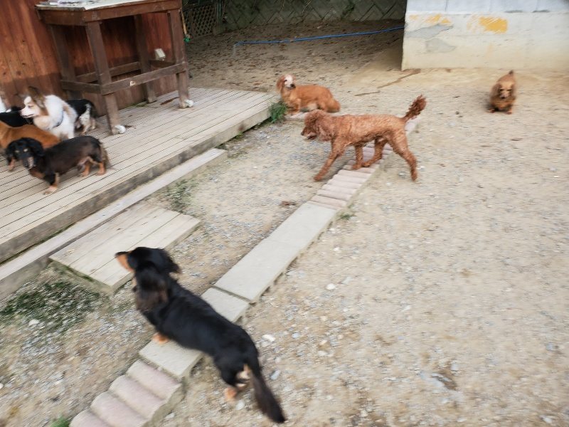 f:id:roukenhome-ann:20191001204629j:plain