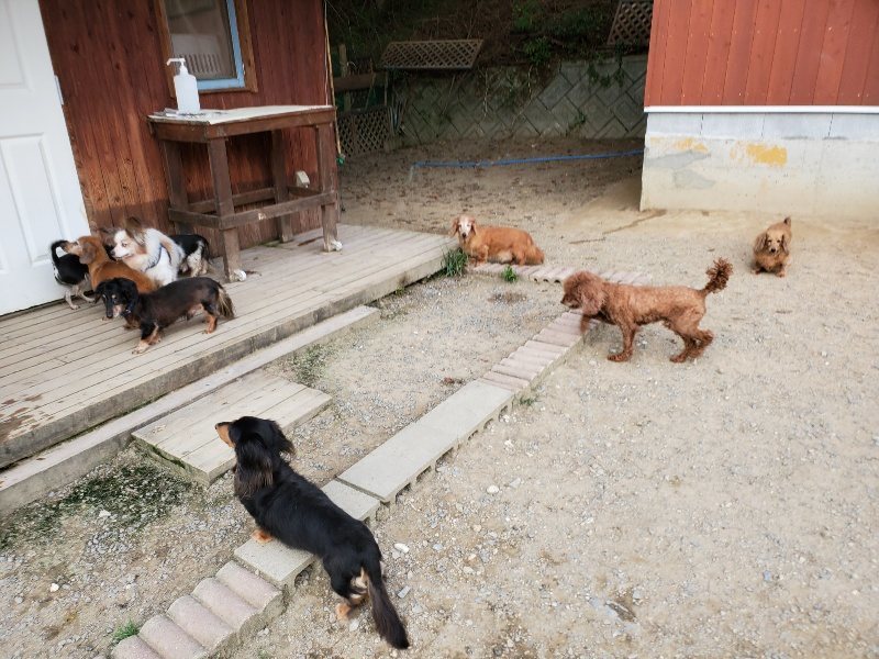 f:id:roukenhome-ann:20191001204640j:plain