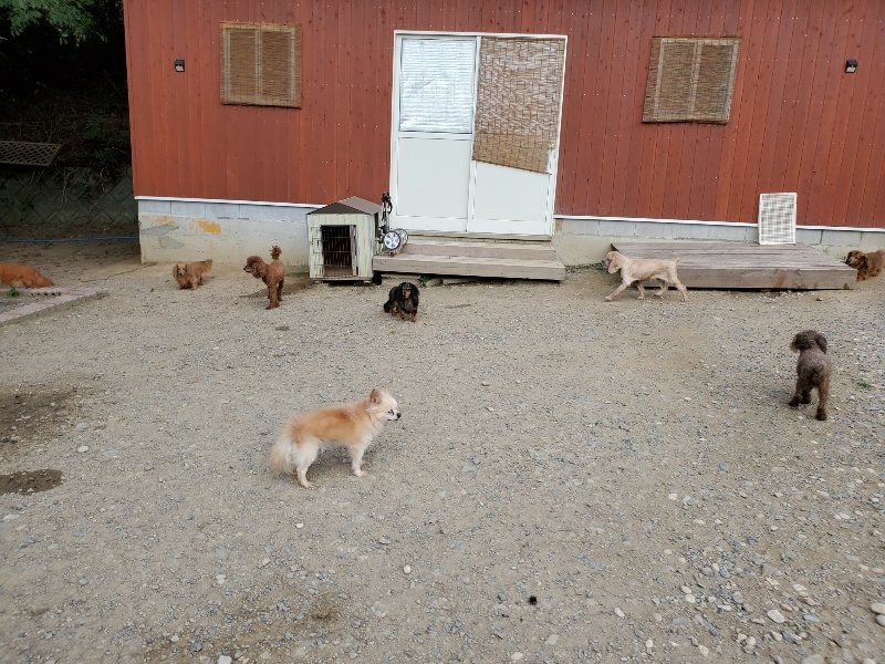 f:id:roukenhome-ann:20191001204705j:plain