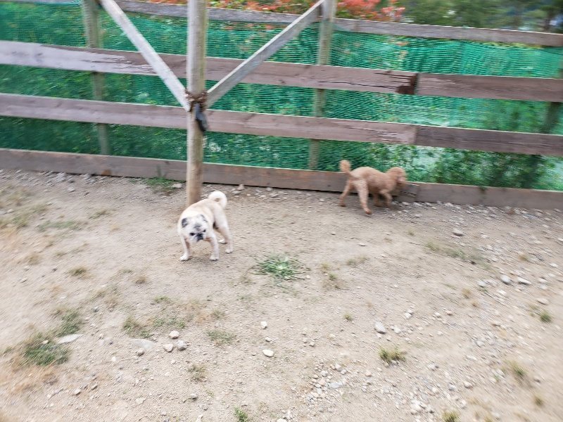 f:id:roukenhome-ann:20191001204711j:plain