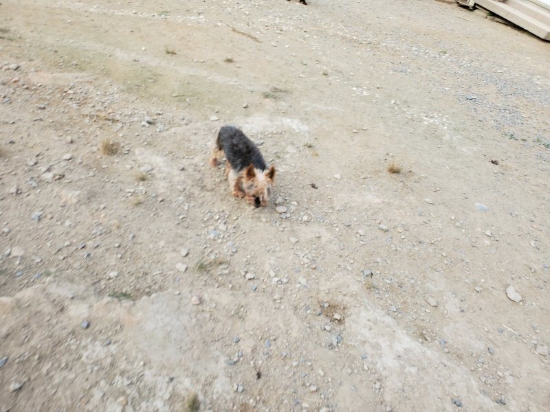 f:id:roukenhome-ann:20191001204911j:plain
