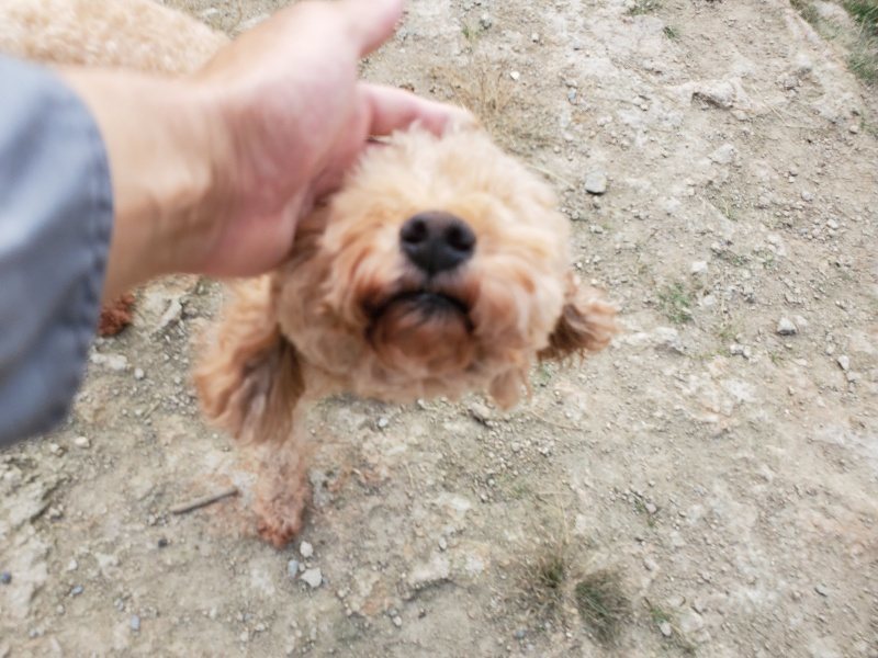 f:id:roukenhome-ann:20191001204920j:plain