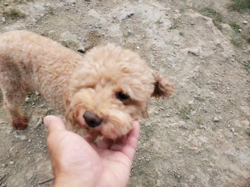f:id:roukenhome-ann:20191001204929j:plain