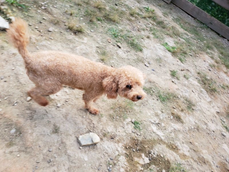 f:id:roukenhome-ann:20191001204939j:plain