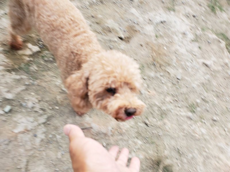 f:id:roukenhome-ann:20191001204950j:plain