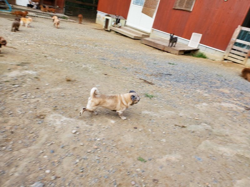 f:id:roukenhome-ann:20191001205028j:plain