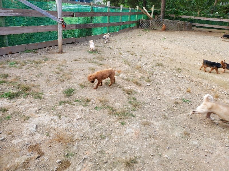 f:id:roukenhome-ann:20191001205041j:plain
