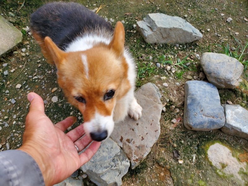 f:id:roukenhome-ann:20191001205103j:plain
