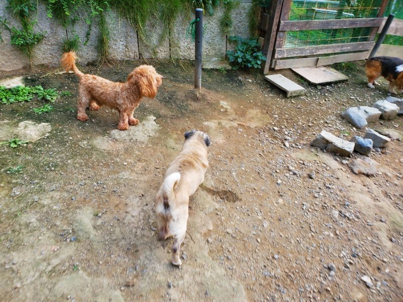 f:id:roukenhome-ann:20191001205152j:plain