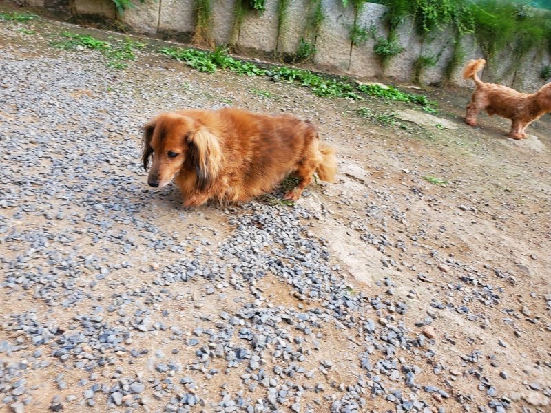 f:id:roukenhome-ann:20191001205326j:plain