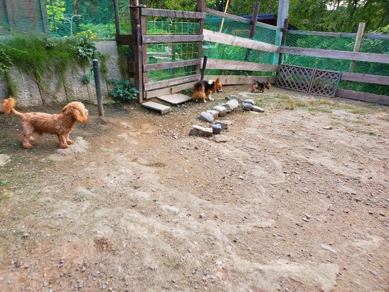 f:id:roukenhome-ann:20191001205344j:plain