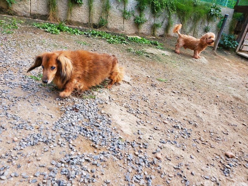 f:id:roukenhome-ann:20191001205358j:plain