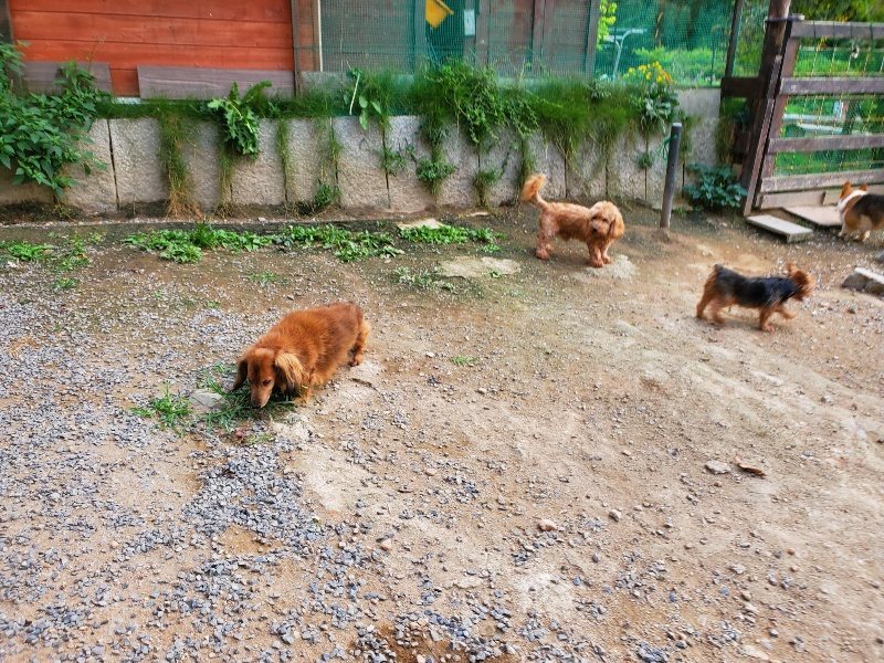 f:id:roukenhome-ann:20191001205413j:plain