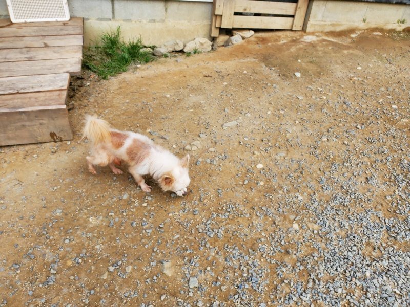 f:id:roukenhome-ann:20191001205439j:plain