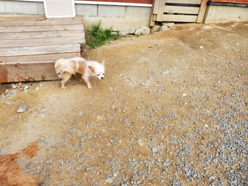 f:id:roukenhome-ann:20191001205507j:plain