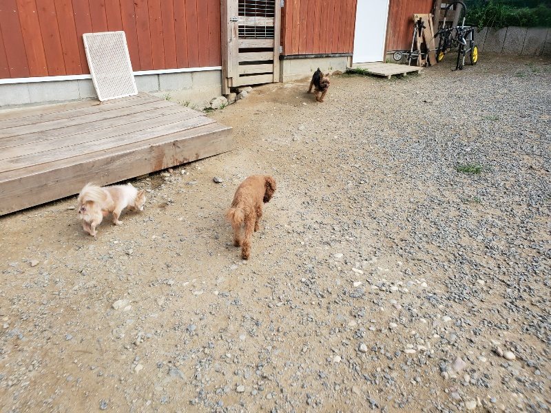 f:id:roukenhome-ann:20191001205541j:plain