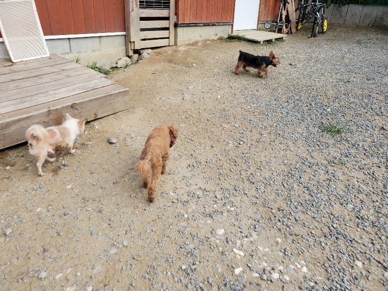 f:id:roukenhome-ann:20191001205553j:plain