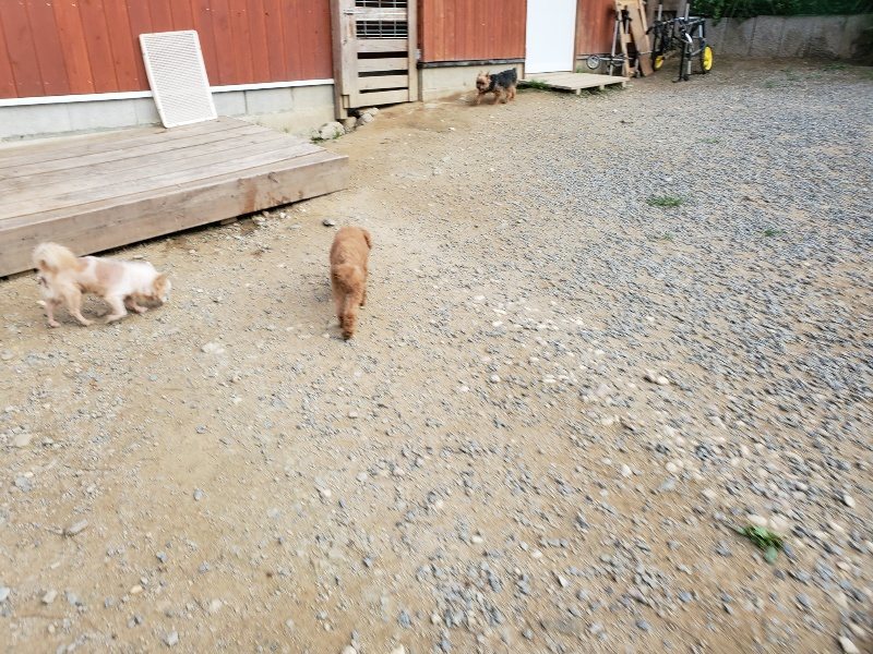 f:id:roukenhome-ann:20191001205601j:plain