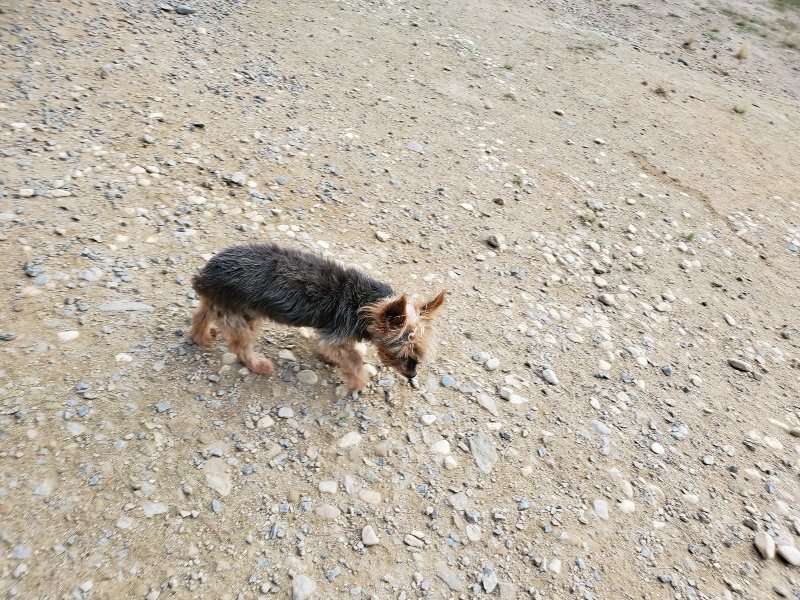 f:id:roukenhome-ann:20191001205610j:plain