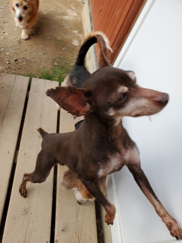 f:id:roukenhome-ann:20191002050309j:plain