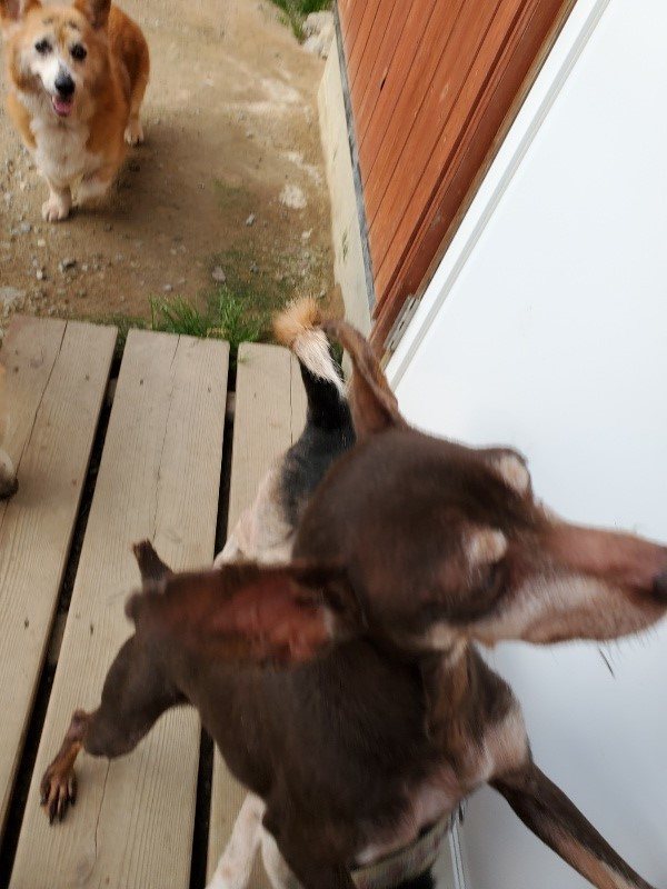 f:id:roukenhome-ann:20191002050318j:plain