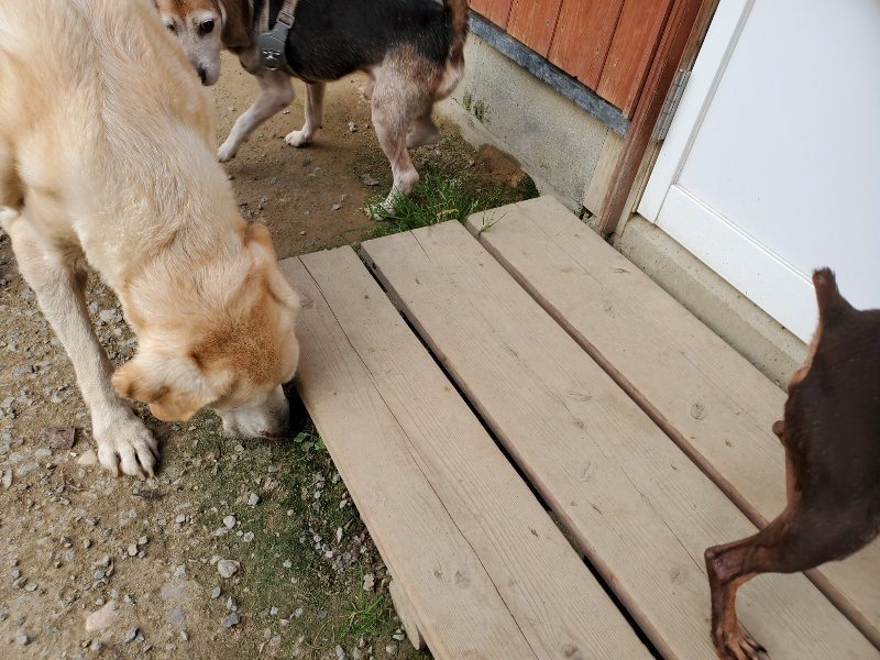f:id:roukenhome-ann:20191002050322j:plain