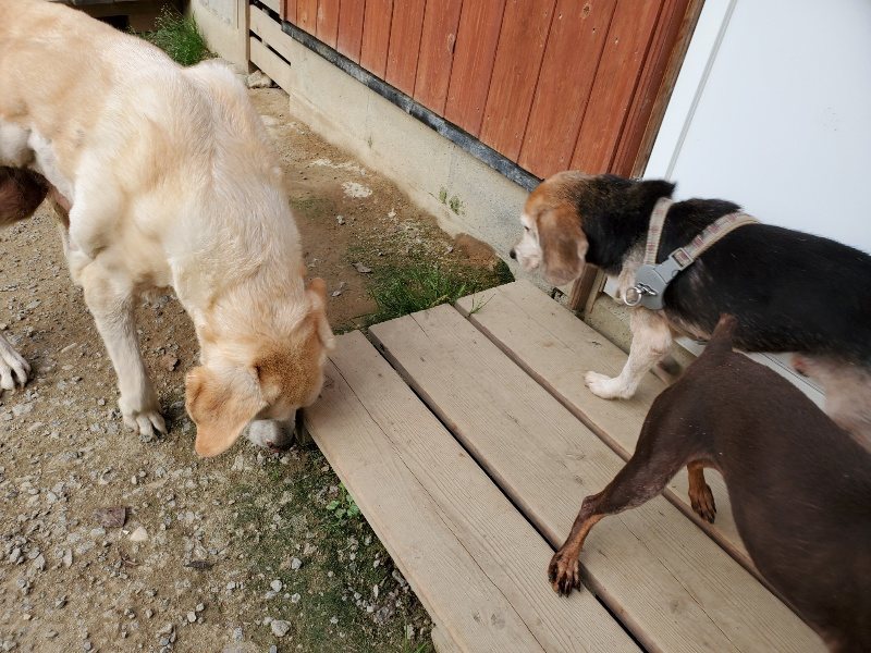 f:id:roukenhome-ann:20191002050333j:plain