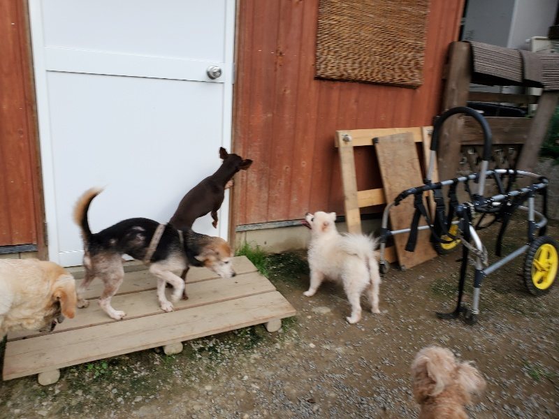 f:id:roukenhome-ann:20191002050338j:plain