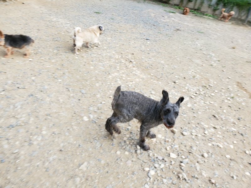 f:id:roukenhome-ann:20191002050352j:plain