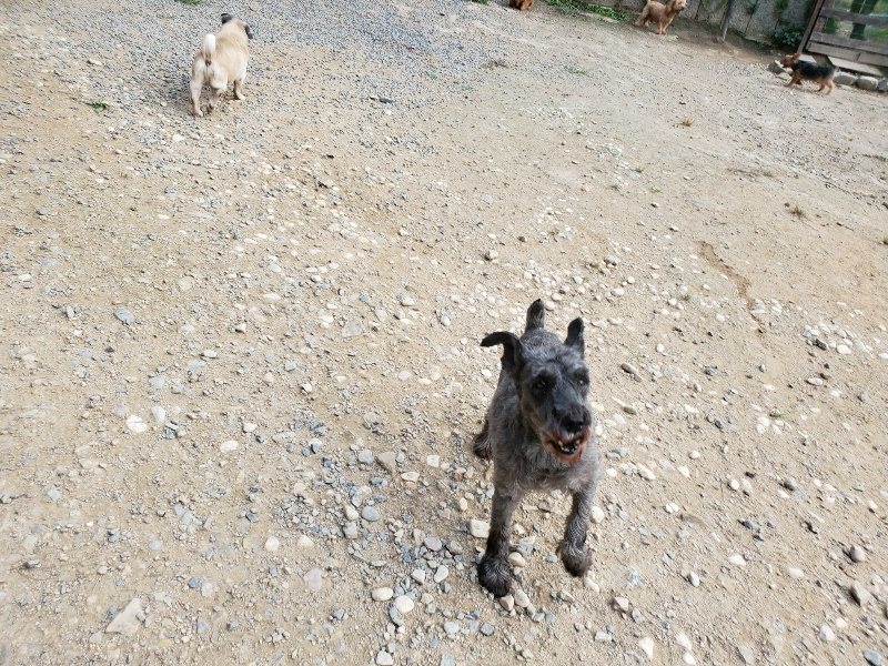 f:id:roukenhome-ann:20191002050402j:plain