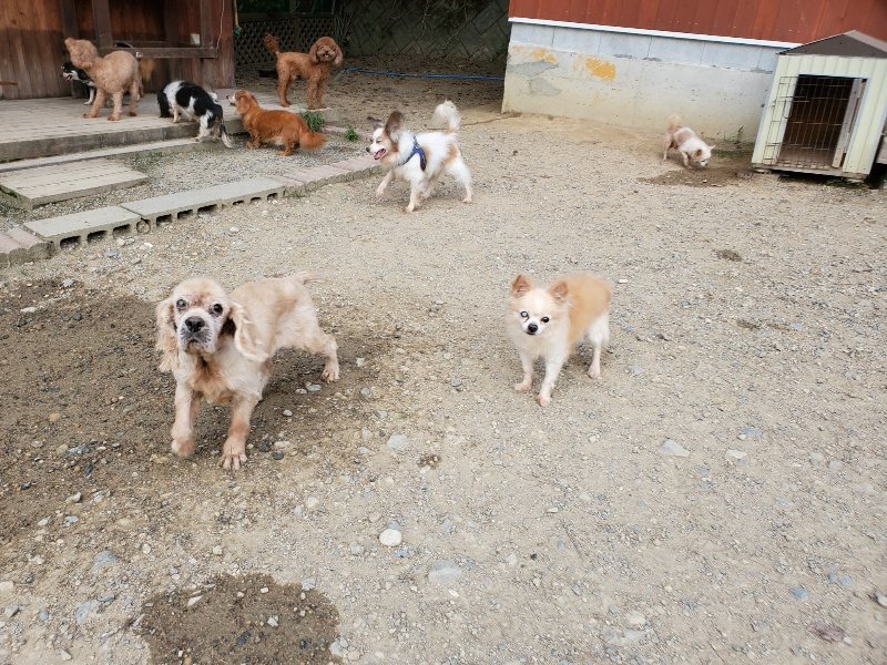 f:id:roukenhome-ann:20191002050413j:plain