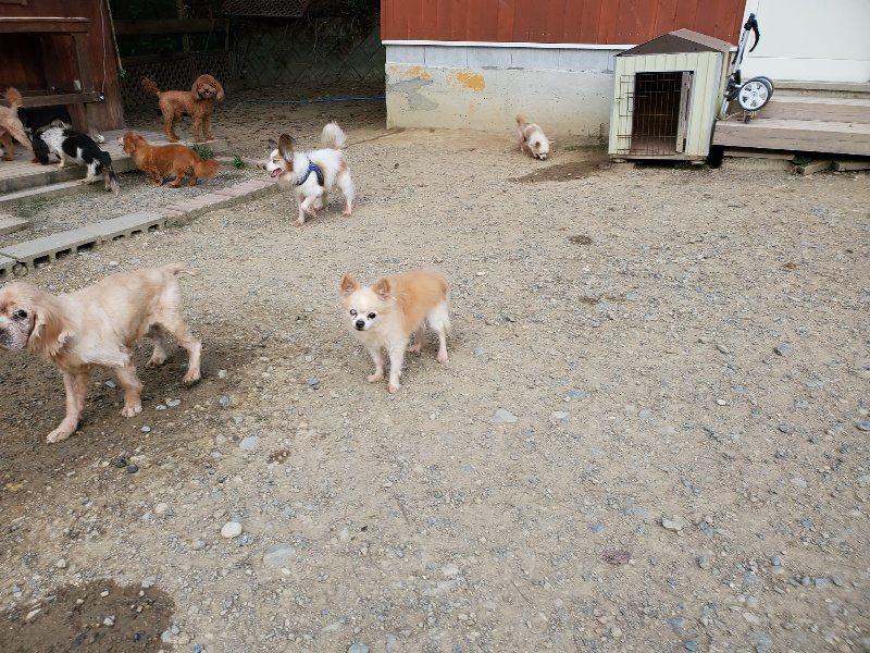 f:id:roukenhome-ann:20191002050430j:plain